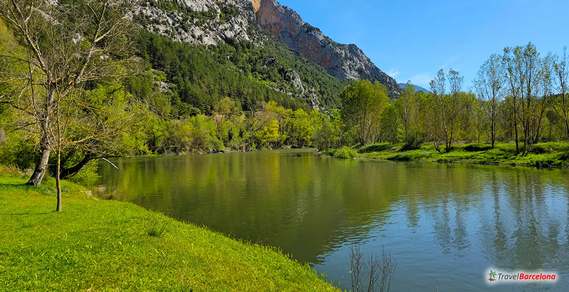 Речная рыбалка в Барселоне - фото 2